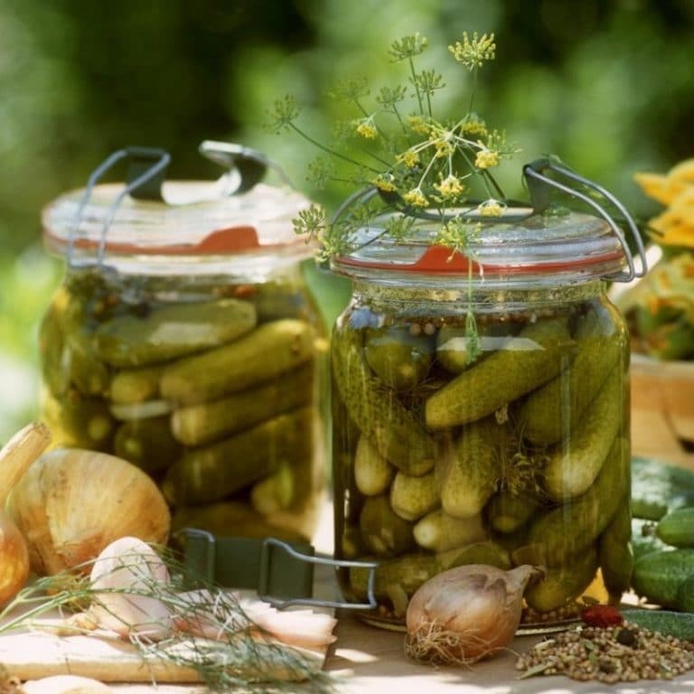 Picture of خیارشور خیلی ریز