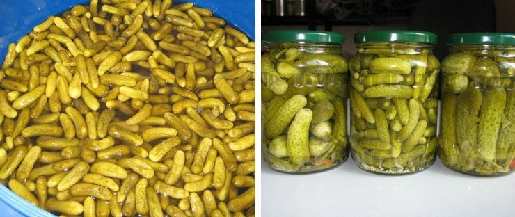 Picture of Canned Fruit/Vegetables Processing Line,Canned Tomato Machine,Pickle Making Machine