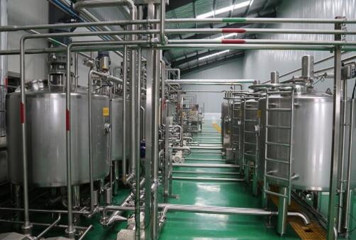 Picture of Onion paste processing machine making garlic production line