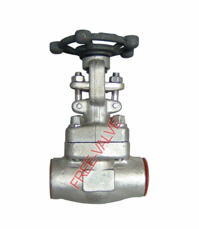 Picture of SW ends forged steel globe valve