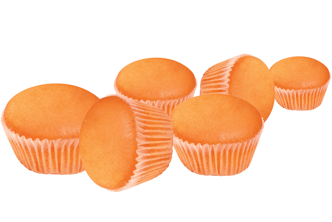 Picture of شایلی تابستان