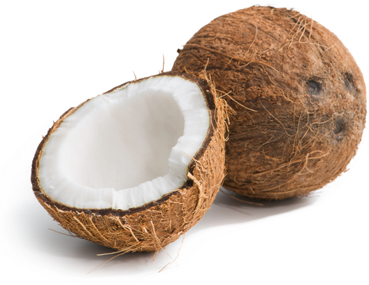 Picture of Coconut
