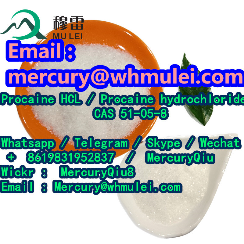 Picture of Direct Supply Fresh Stock Procaine/Procaine HCl/phenacetin