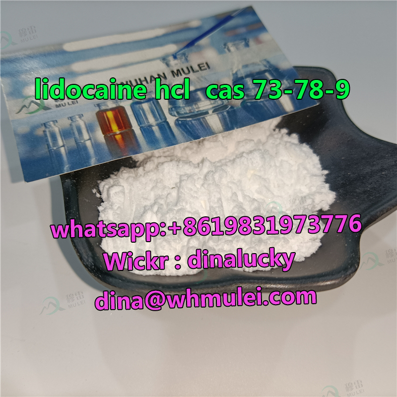 Picture of Manufacture lidocaine hcl powder supplier cas73-78-9 with lower price sell 73 78 9lidocaine (hcl) powder fast and safe to USA