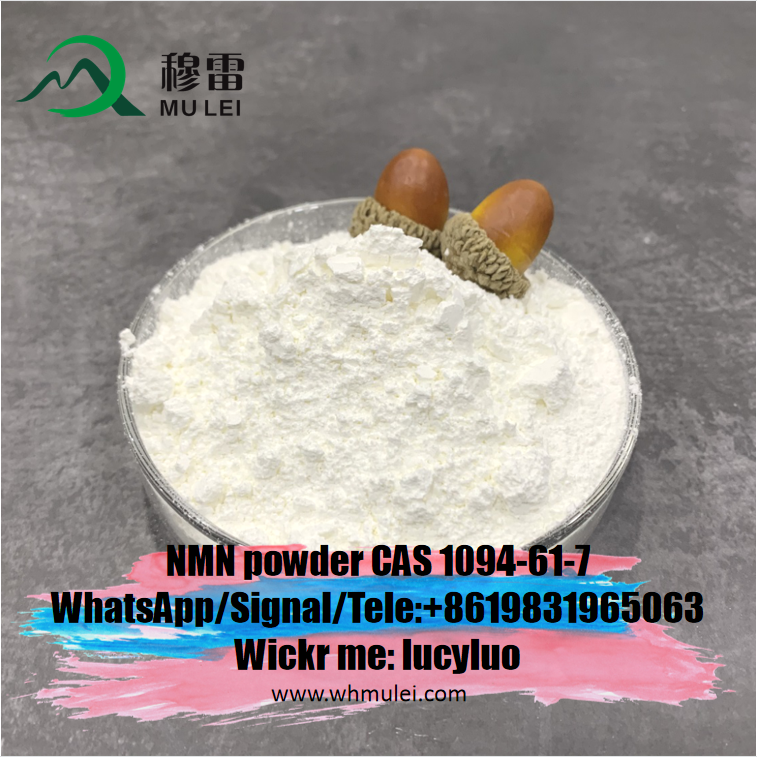 تصویر  Raw Material Beta Nicotinamide Bulk Powder Dietary Supplement Nmn CAS 1094-61-7 Nad Booster