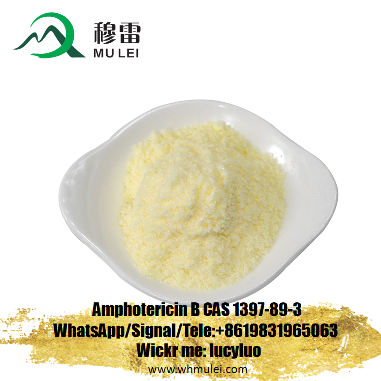 تصویر  High Prity Amphozone/Amphotericin B Powder CAS 1397-89-3 with Safe Delivery to Pakistan India