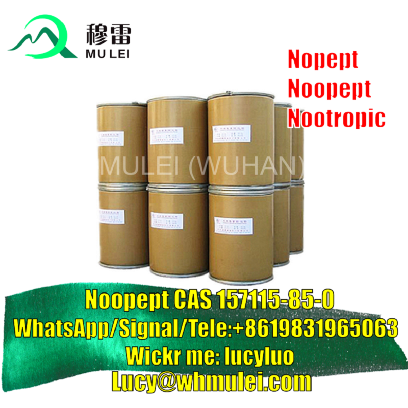 Picture of Supply Noopept Powder CAS 157115-85-0 99% Amino Acids Noopept Safe Pass Canada