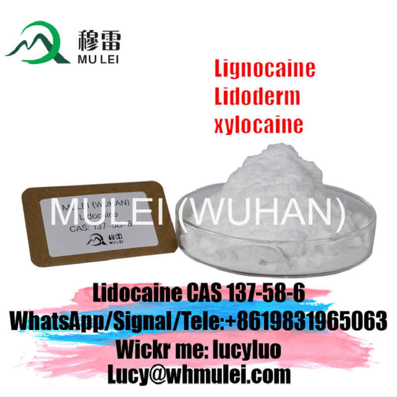 Picture of Supply Purity Lidocaine Powder CAS 137-58-6 Lidocaine Base With Safe Delivery