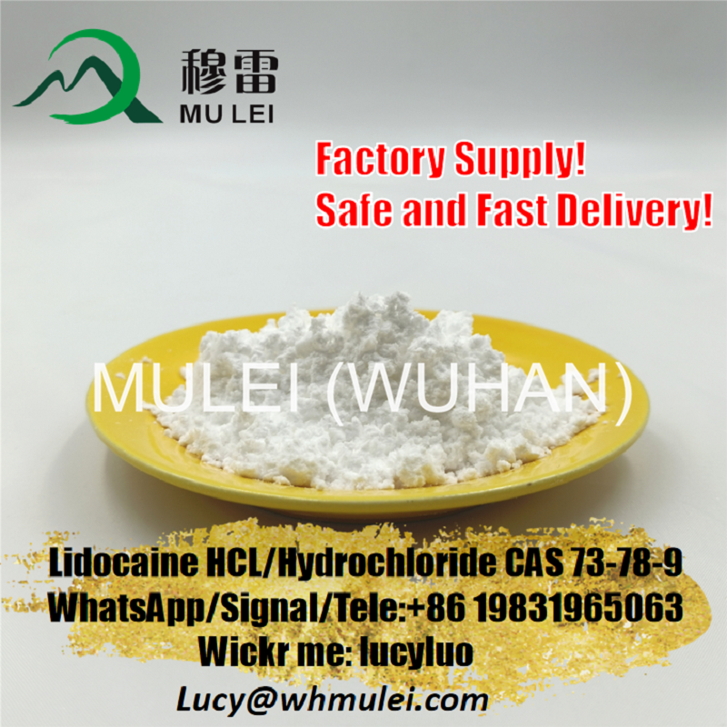 Picture of Injection Grade Lidocaine HCl UK Warehouse Xylocaine Free Sample CAS 73-78-9