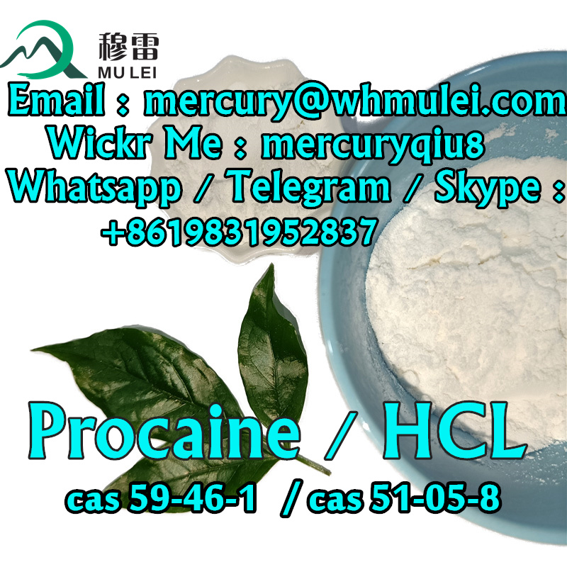 Picture of Manufacturer Supply High Purity Procaine Powder for Pain Killer CAS No. 59-46-1 Procaine Hydrochloride cas 51-05-8