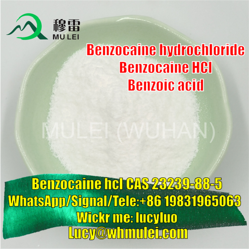 تصویر  High Purity Pharmaceutical Raw Material Powder CAS 23239-88-5 Benzocaine Hydrochloride
