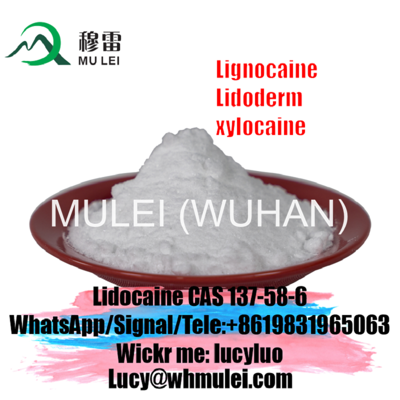 Picture of Supply Purity Lidocaine Powder CAS 137-58-6 Lidocaine Base