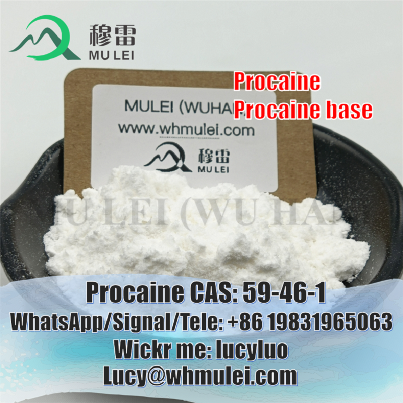 Picture of Anti Inflammatory Drugs Procaine Powder CAS 59-46-1 Procaine Local Anesthetics
