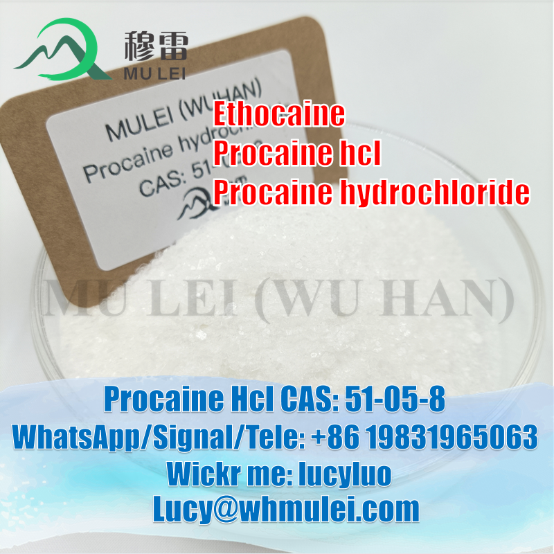 Picture of Local Anesthetic CAS 51-05-8 Procaine Hydrochloride Powder Procaine HCl