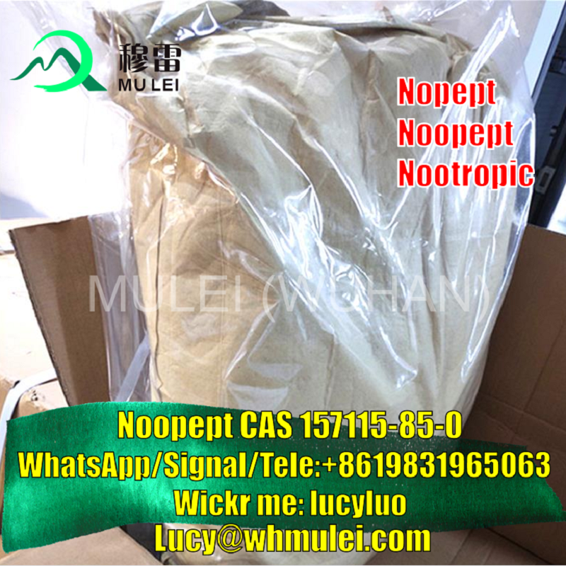 Picture of Supply Raw Material Noopept CAS 157115-85-0 Nootropics Supplement