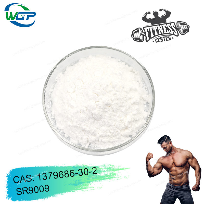 Picture of Bodybuilding and loss weight Sarms powder 99% purity YK-11/GW0742/RAD140/ACP-105/SR9009 S4/S23 LGD-4033/MK677/MK-2866/GW501516