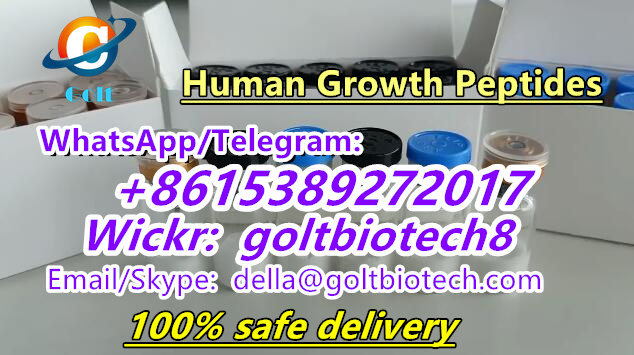 Picture of Human Growth Peptides Cas 12629-01-5 10iu supplier 100% safe delivery