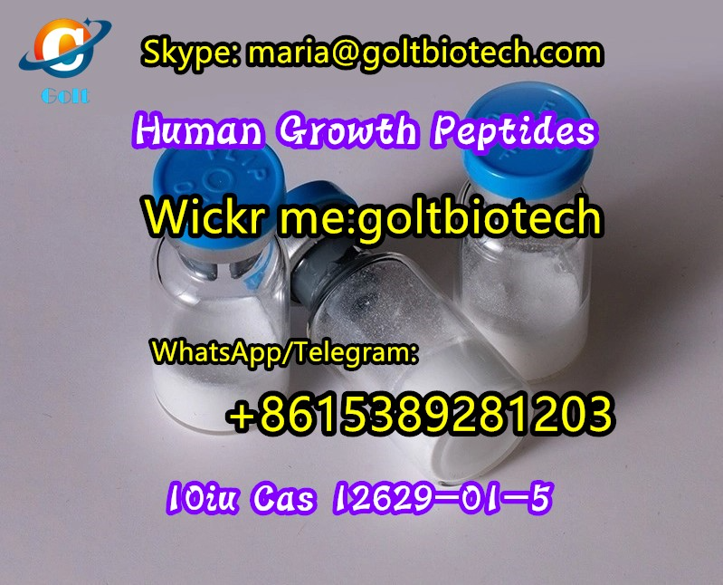 Picture of HGH Human Growth Hormone ghrp-2, ghrp-6, Mgf, peg-mgf, ctc-1295 Semorelin, Hexarelin, pt-141, Melanotan, Epithalon, Selank, TB500, Epitalon, Ipamorelin peptides supplier 100% safe delivery Wickr me:goltbiotech
