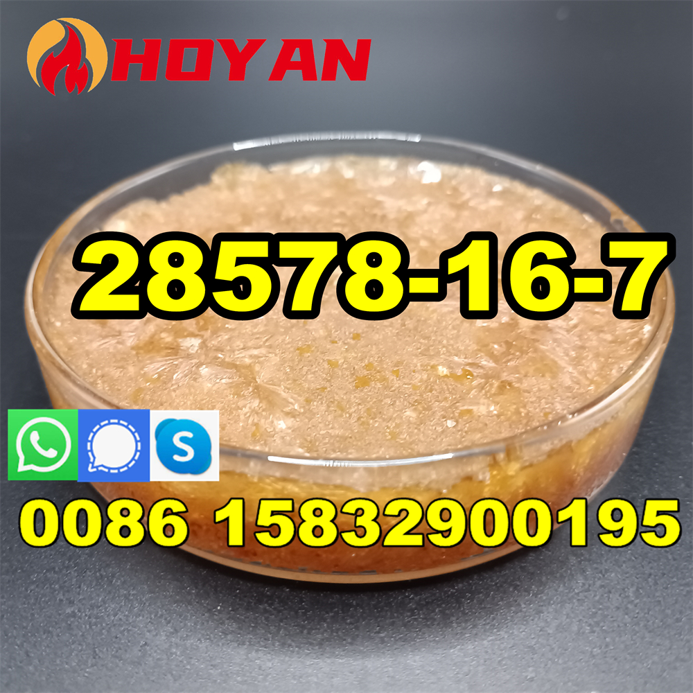 Picture of Canada market buy new pmk oil CAS 28578-16-7 oil in stock