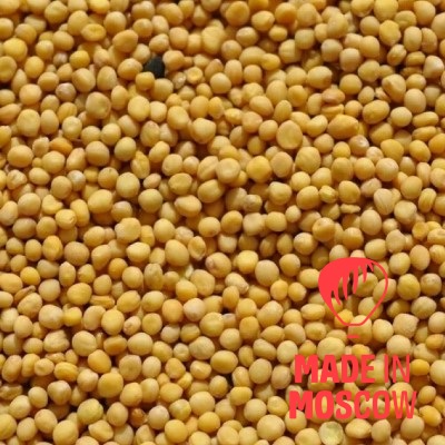 Picture of Mustard (yellow, white), Oreol
