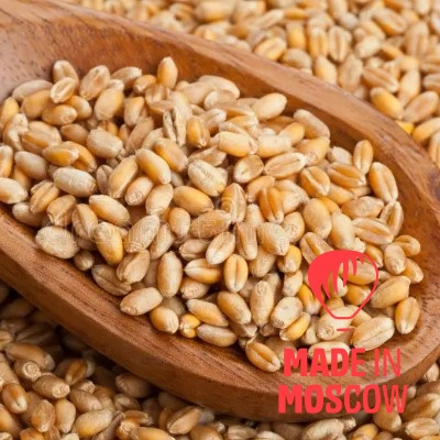 Picture of Wheat, Oreol