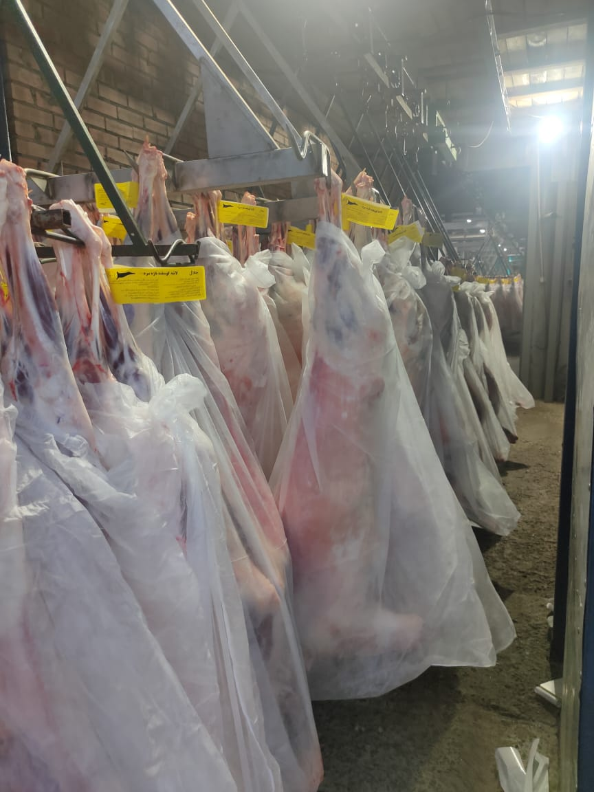 Picture of Lamb meat for sale in carcasses