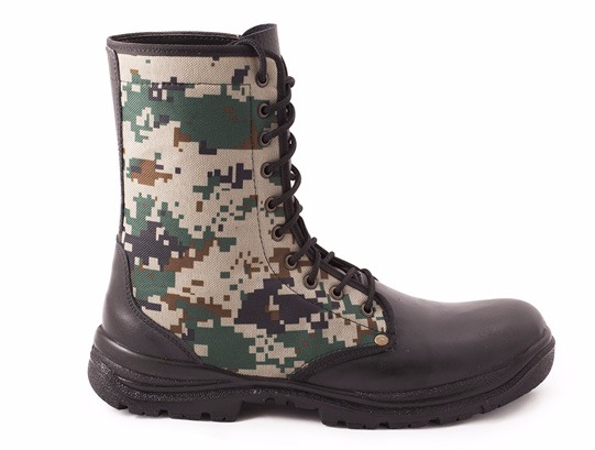 تصویر  شاهین طبیعی 21۰