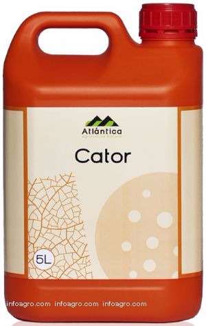 تصویر  اصلاح کننده کتور شرکت آتلانتیکا اسپانیا