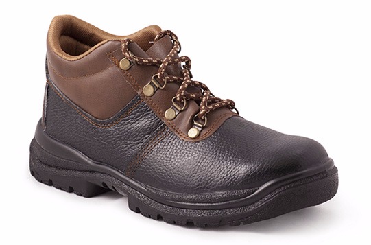 تصویر  پوتین ایمنی دنا 1۰4